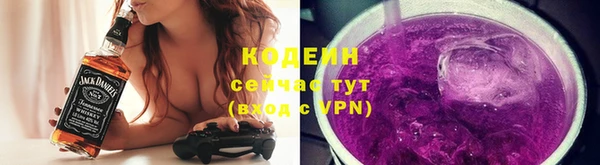 мет Гусев