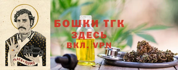 мдпв Кинешма