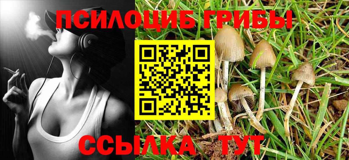 Галлюциногенные грибы Cubensis  Псилоцибиновые грибы прущие грибы  Солнечногорск  Вход с VPN 
