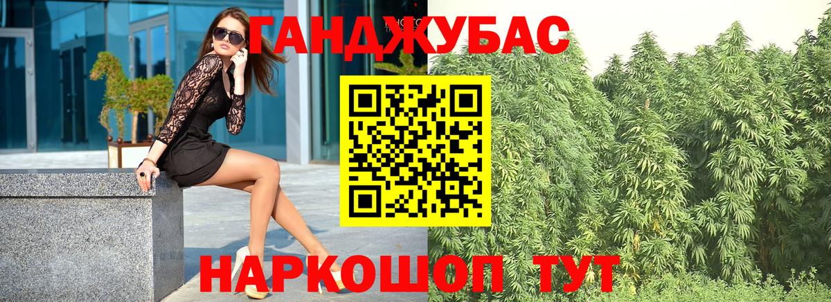 Бошки Шишки конопля Солнечногорск